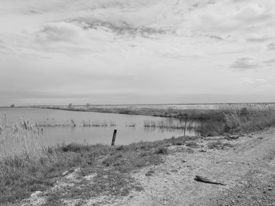 Pointe Mouillee State Game Area 7