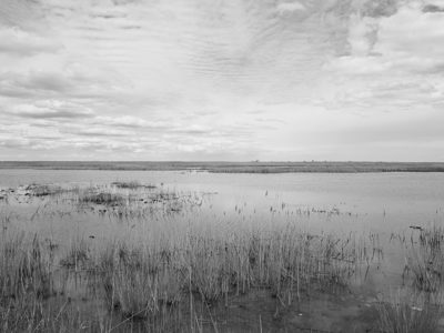 Pointe Mouillee State Game Area 8