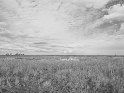 Pointe Mouillee State Game Area 10