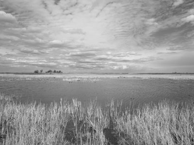 Pointe Mouillee State Game Area 11