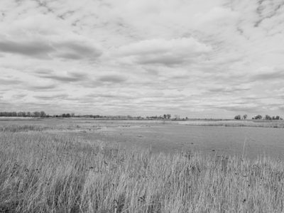 Pointe Mouillee State Game Area 12