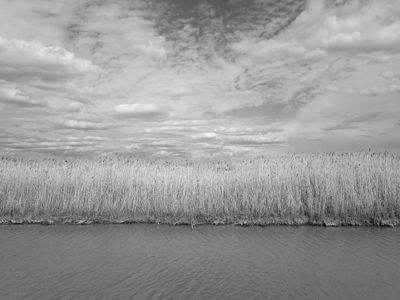 Pointe Mouillee State Game Area 13