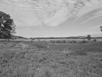 Prophetstown State Park 4