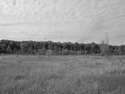 Prophetstown State Park 5