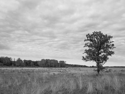 Prophetstown State Park 7
