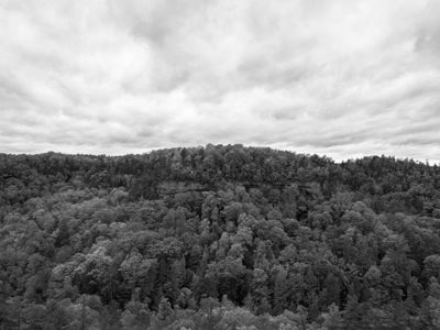 Red River Gorge Geological Area 2