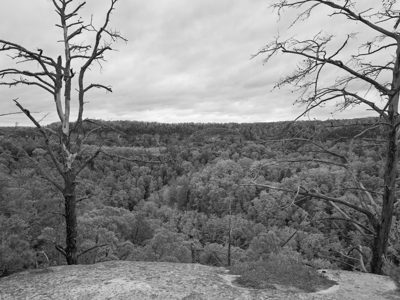 Red River Gorge Geological Area 3