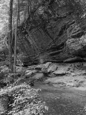 Red River Gorge Geological Area 7