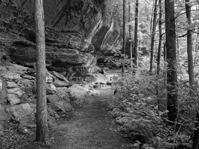 Red River Gorge Geological Area 9