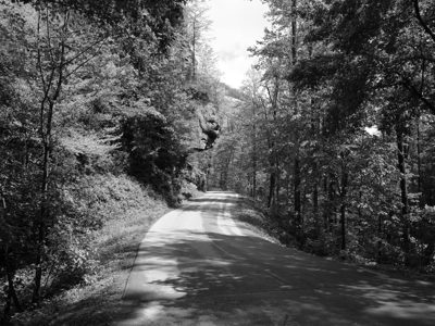 Red River Gorge Geological Area 11