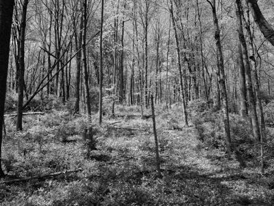 Rocky Fork State Park 2