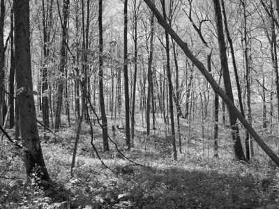 Rocky Fork State Park 4