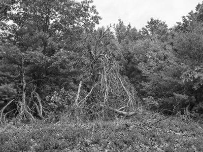 Saugatuck Dunes State Park 2
