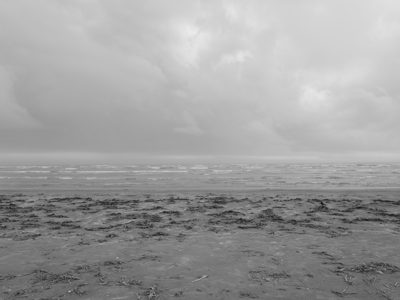 Sea Rim State Park 1