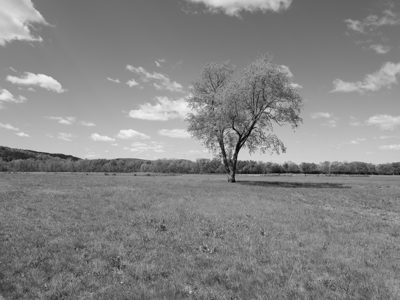Seip Earthworks 7