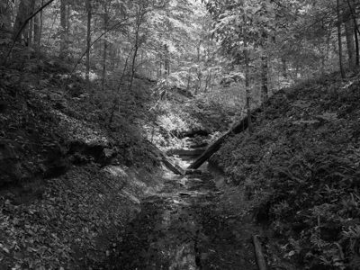 Shades State Park 4