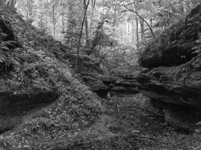Shades State Park 5