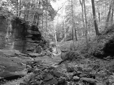 Shades State Park 8