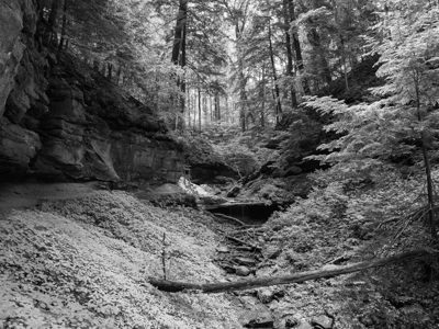 Shades State Park 12