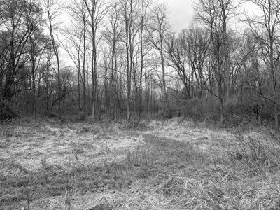 Shawnee Lookout 2