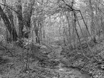 Shawnee Lookout 3