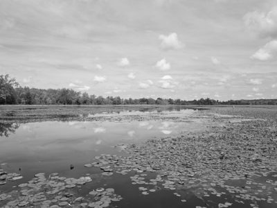 Spring Valley Wildlife Area 1
