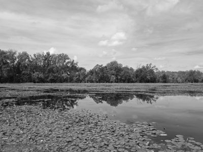 Spring Valley Wildlife Area 2