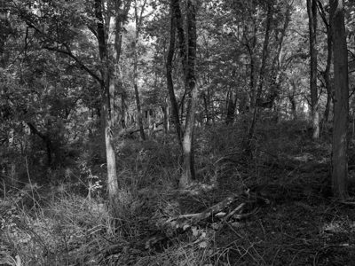 Spring Valley Wildlife Area 3