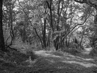 Spring Valley Wildlife Area 4