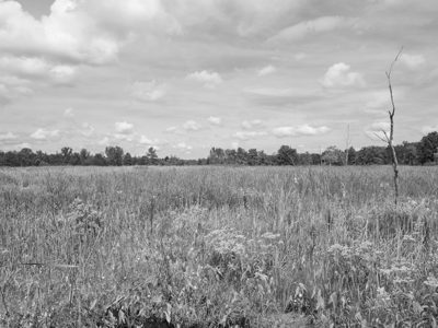 Spring Valley Wildlife Area 5