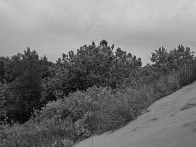 Warren Dunes State Park 1