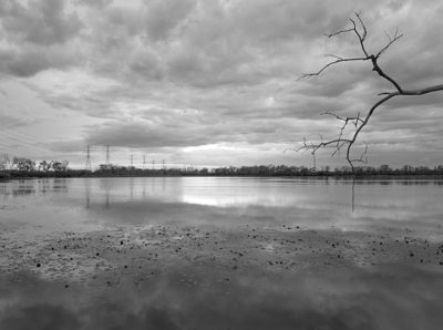 William C. Sterling State Park 6