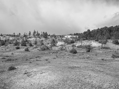 Yellowstone National Park 6