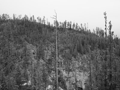 Yellowstone National Park 13