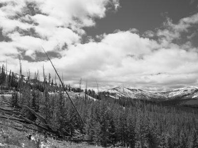 Yellowstone National Park 15